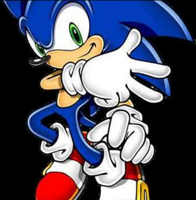 Sonicthe Hedgehog Classic Pose