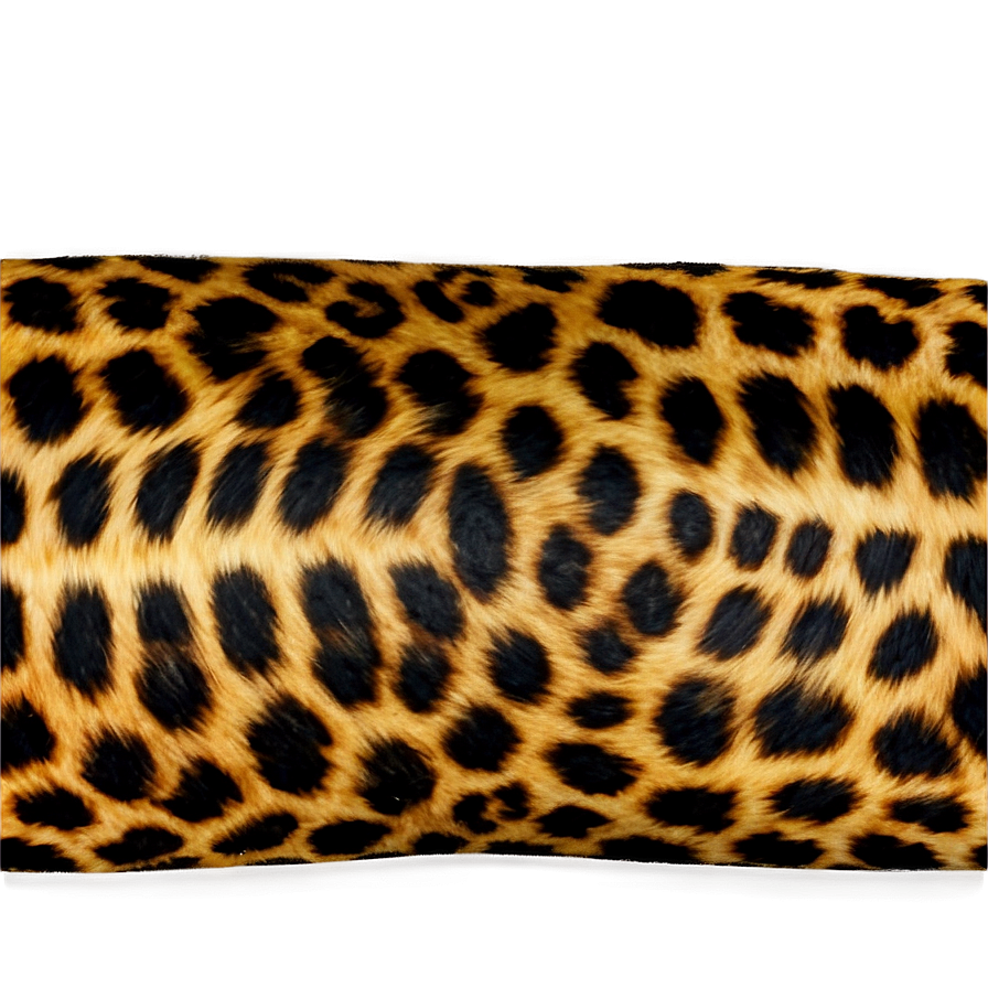 Sophisticated Leopard Print Png 49