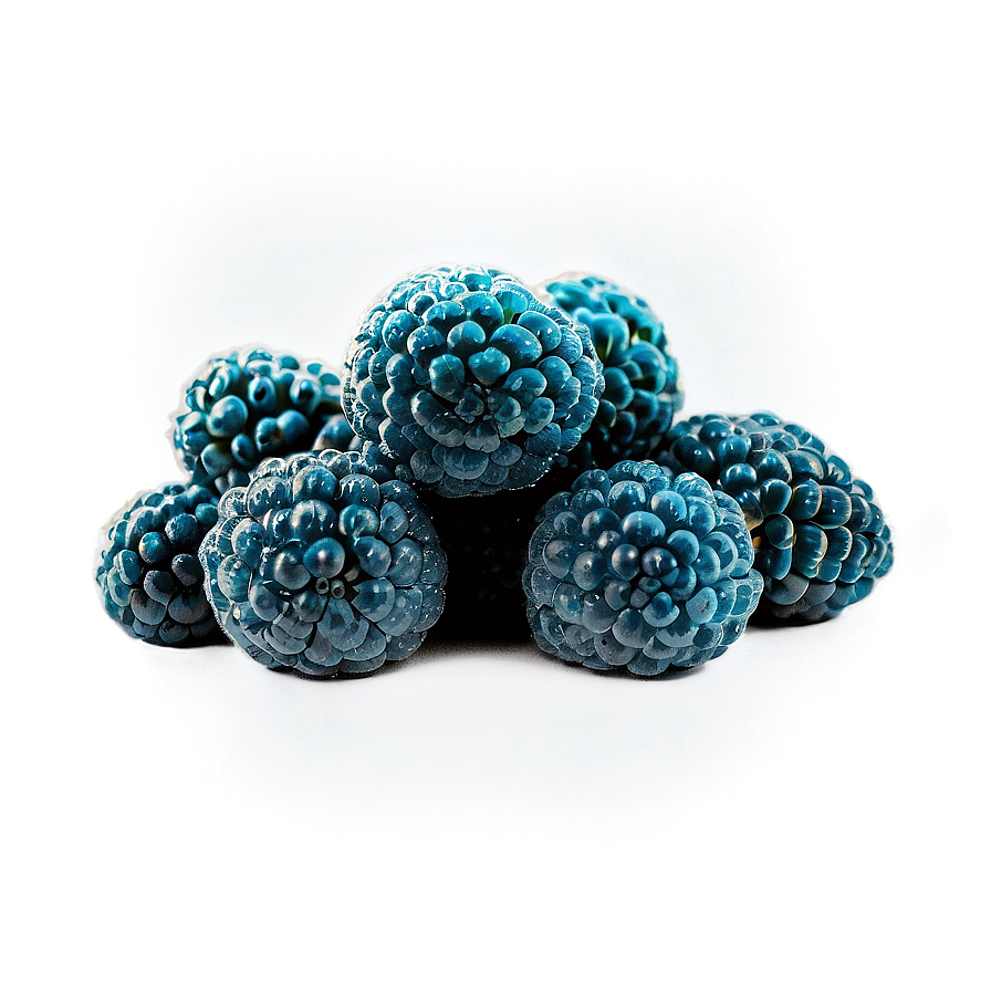 Sour Blue Raspberry Png Aap81