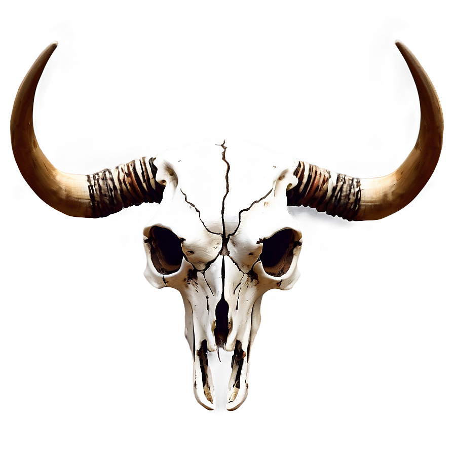 Southwestern Longhorn Skull Art Png Ivf28