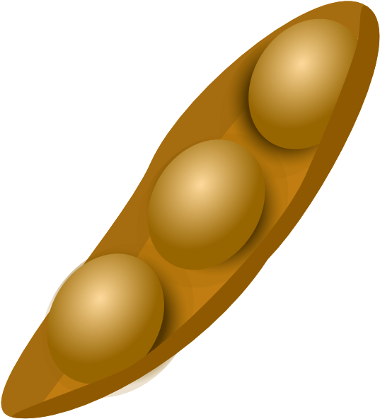 Soybean Pod Illustration