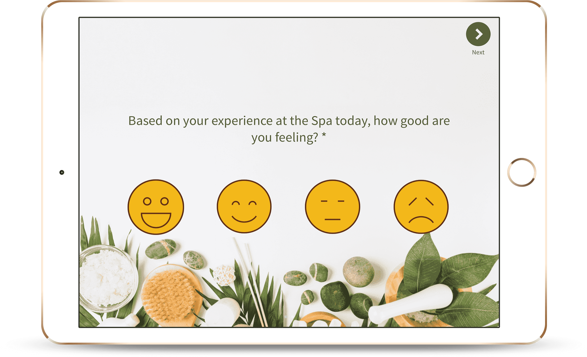 Spa Experience Feedback Survey