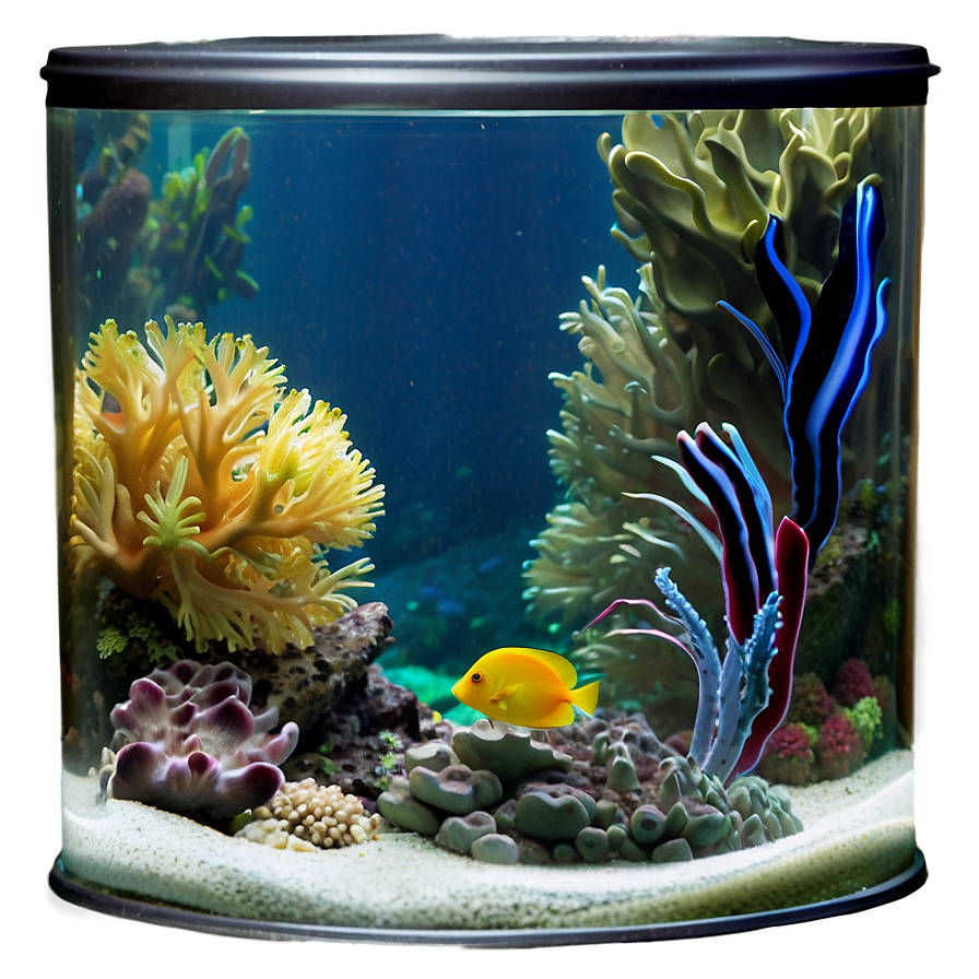 Spain Aquarium Marine Life Png Bte