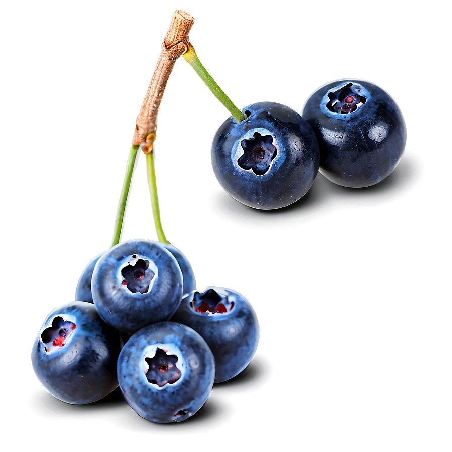 Sparkling Blueberries Png Qvt59