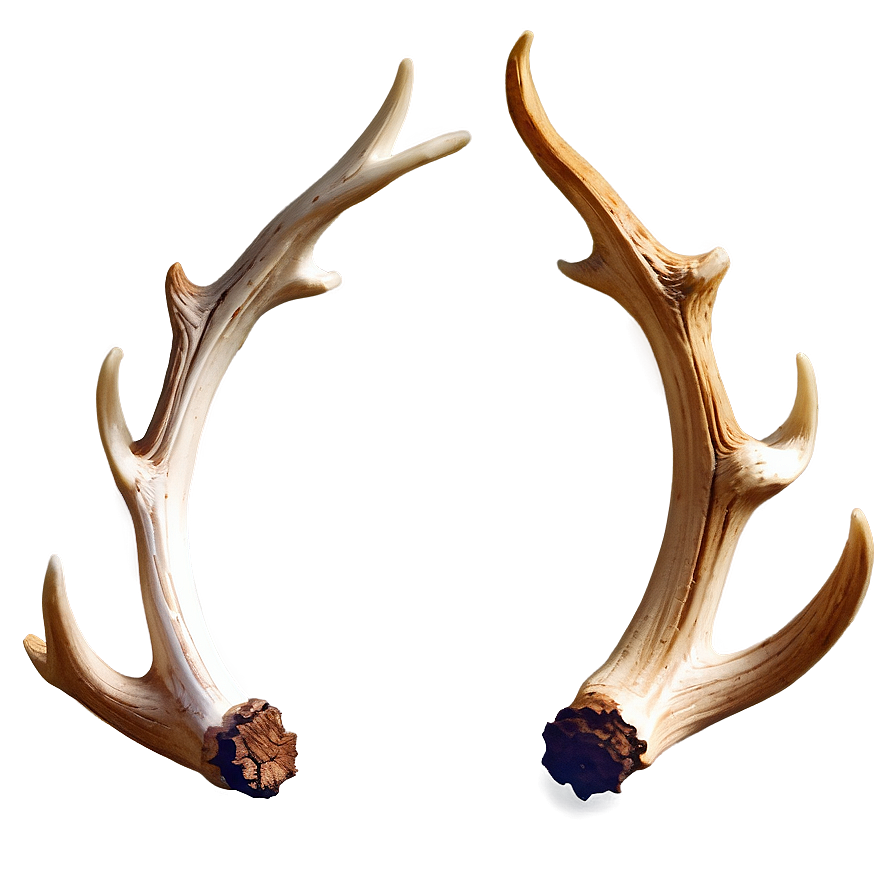 Sparkling Deer Antler Png Juo72