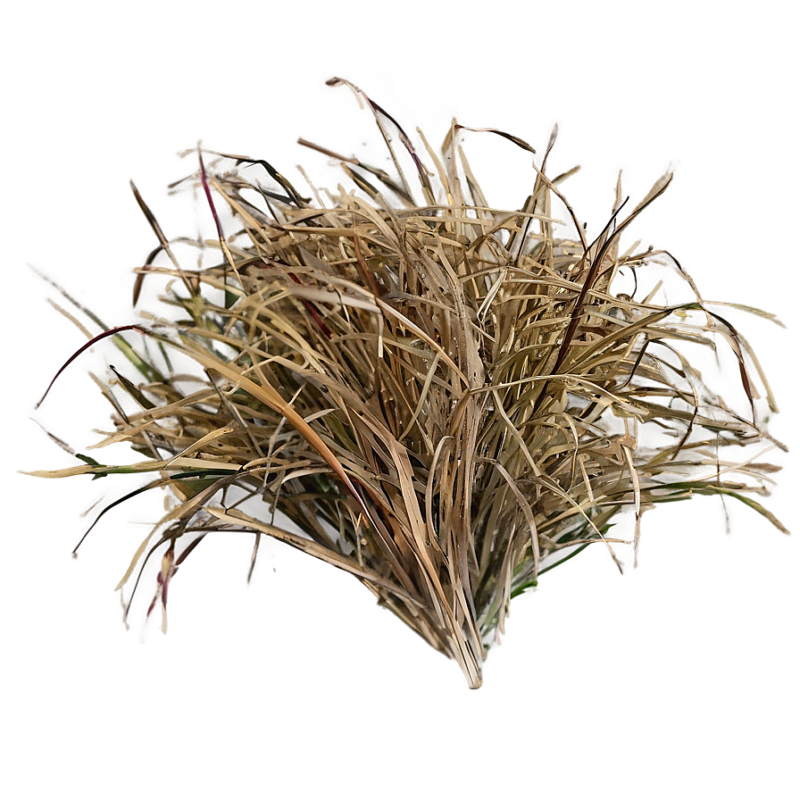 Sparse Dead Grass Png Jvi