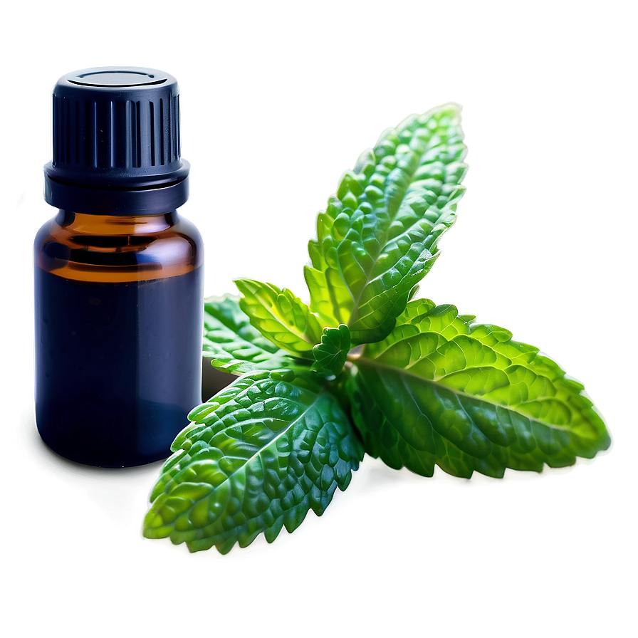 Spearmint Essential Oil Png Kgh65