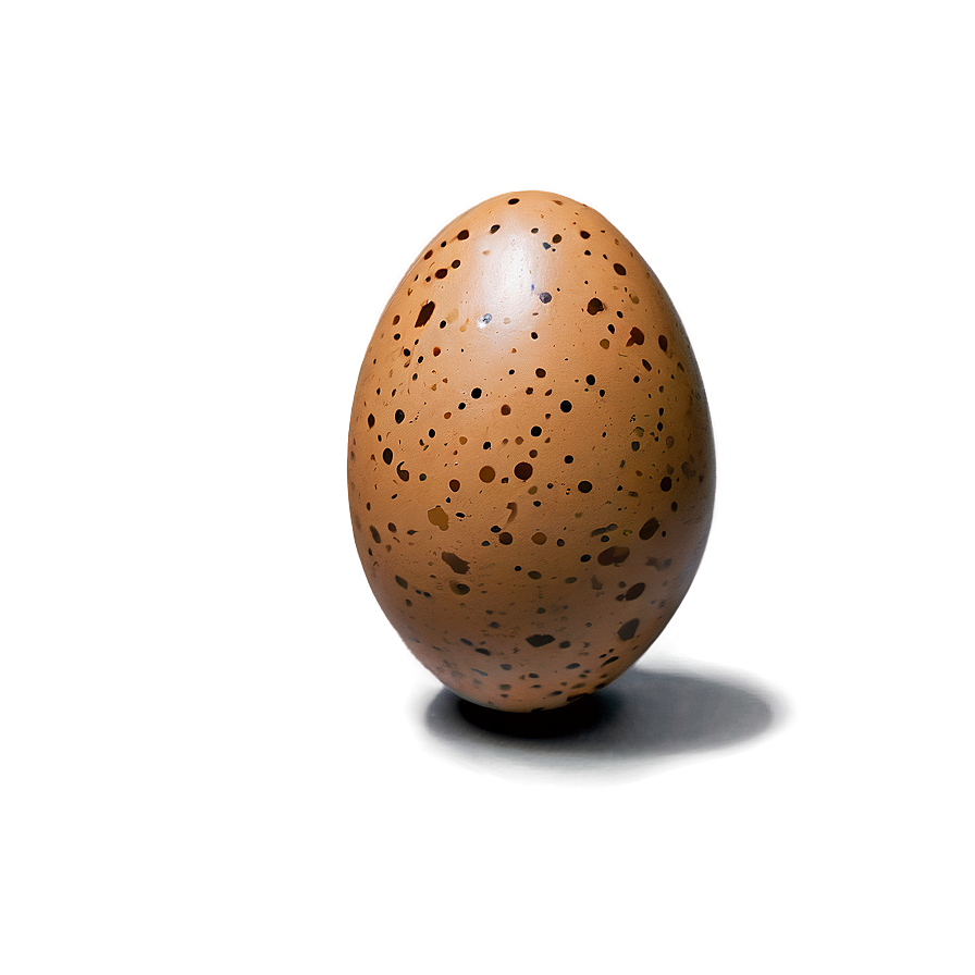 Speckled Brown Egg Png 06202024