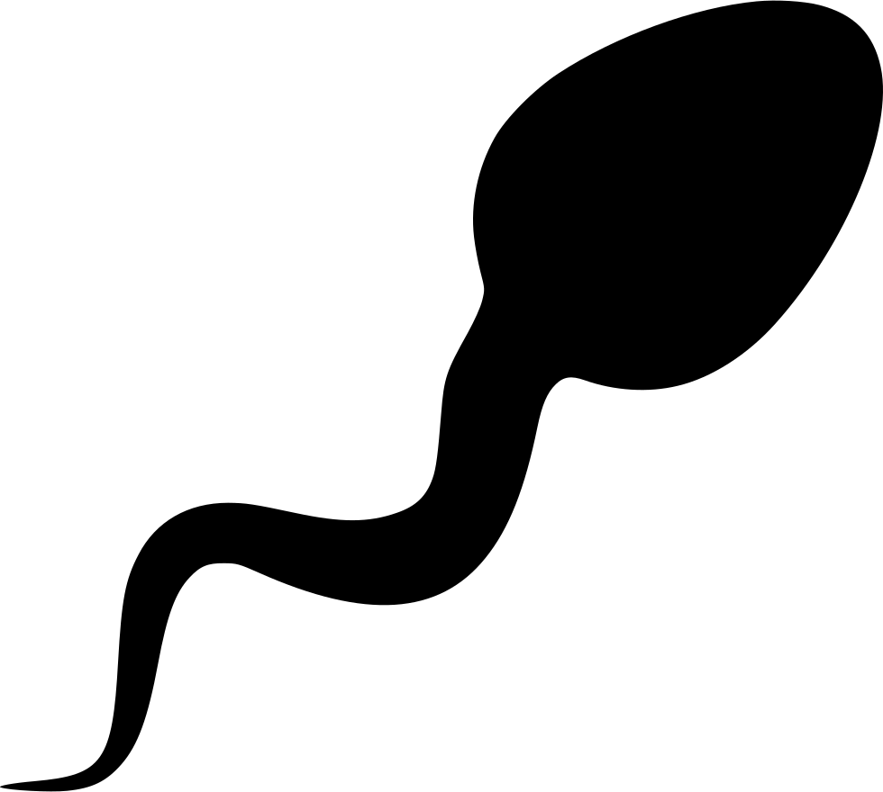 Sperm Cell Silhouette