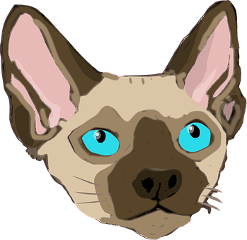 Sphynx Cat Illustration