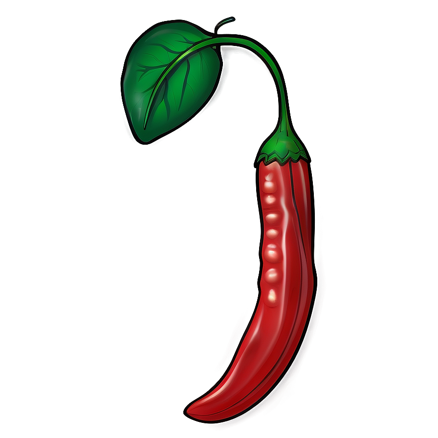 Spicy Chili Pepper Illustration Png Inr