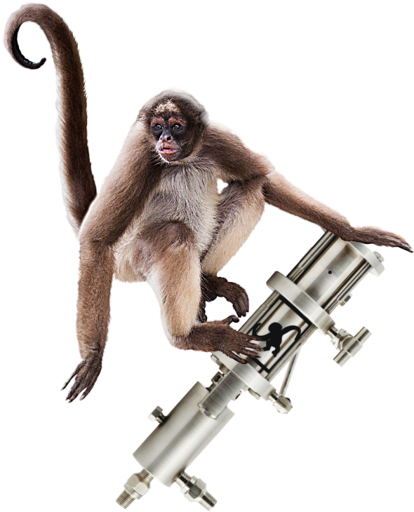 Spider Monkey With Telescope