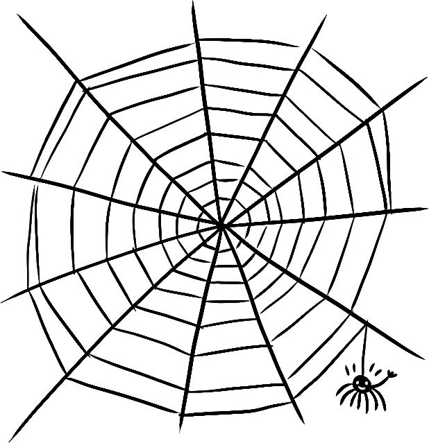 Spider Web Illustration