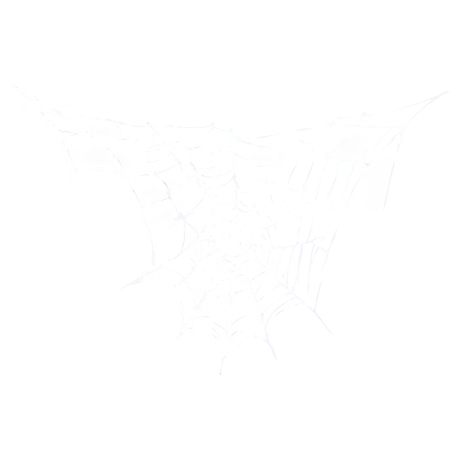 Spider Web Net Png Qki