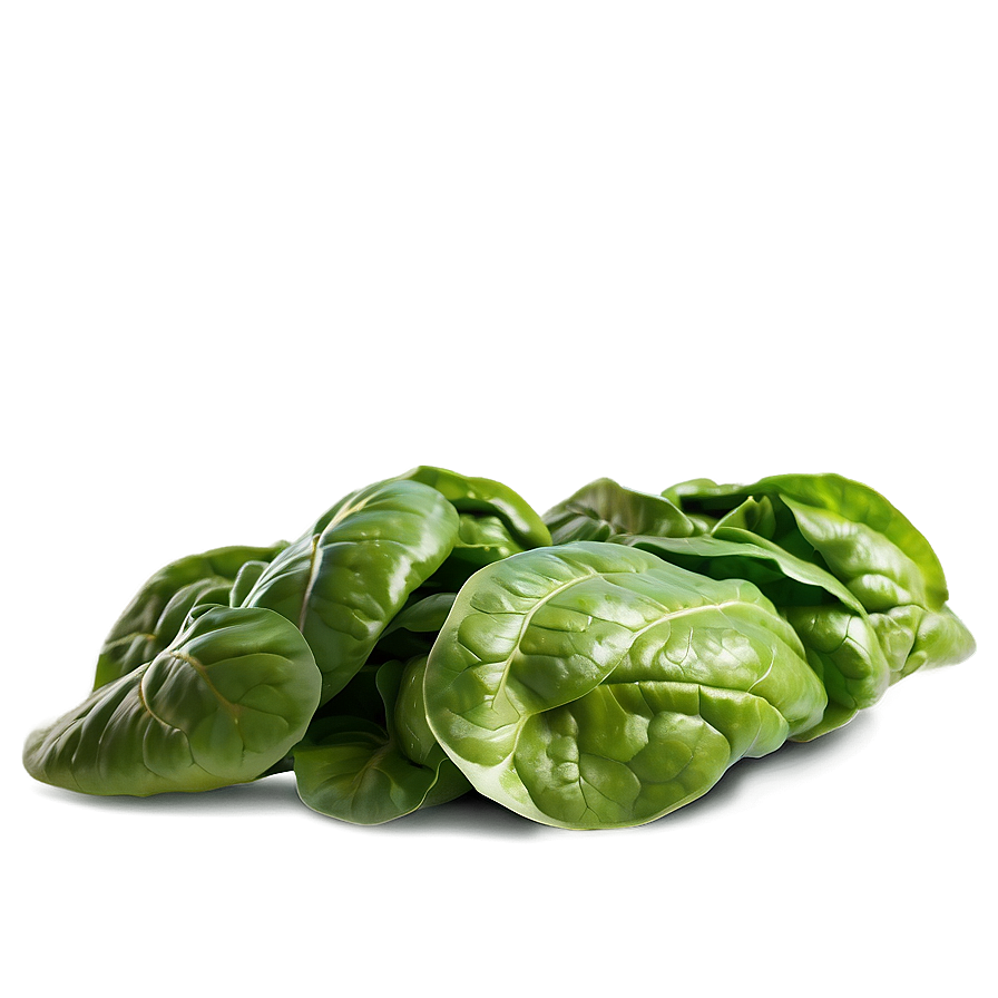 Spinach Lettuce Png 73