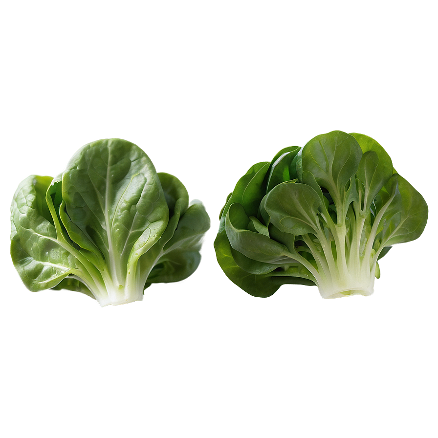 Spinach Lettuce Png Mgh