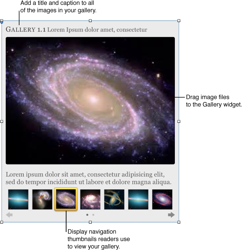 Spiral Galaxy Gallery Widget Screenshot