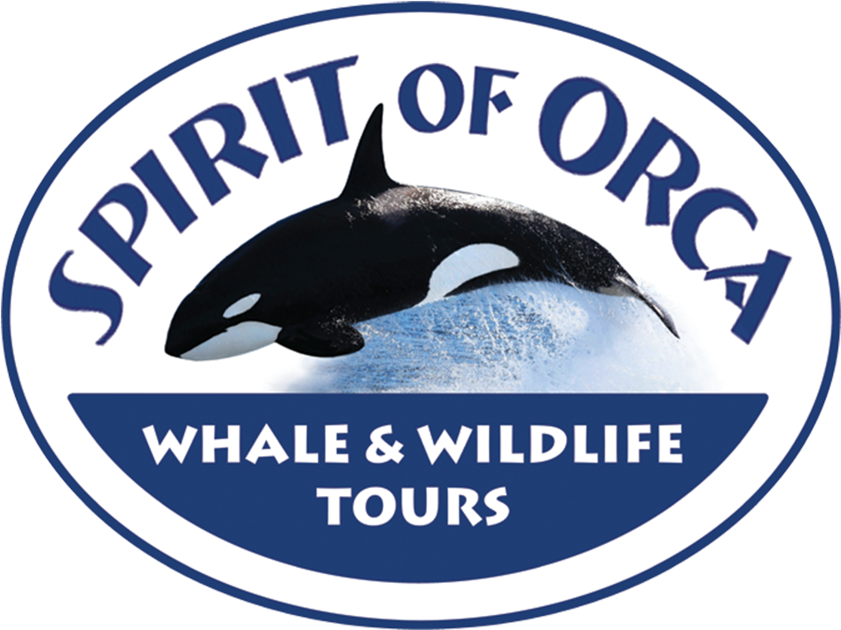 Spiritof Orca Whale Watching Tours Logo