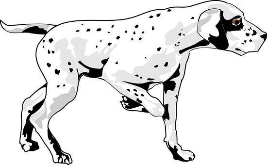 Spotted Dog Graphic Art