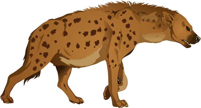 Spotted Hyena Illustration