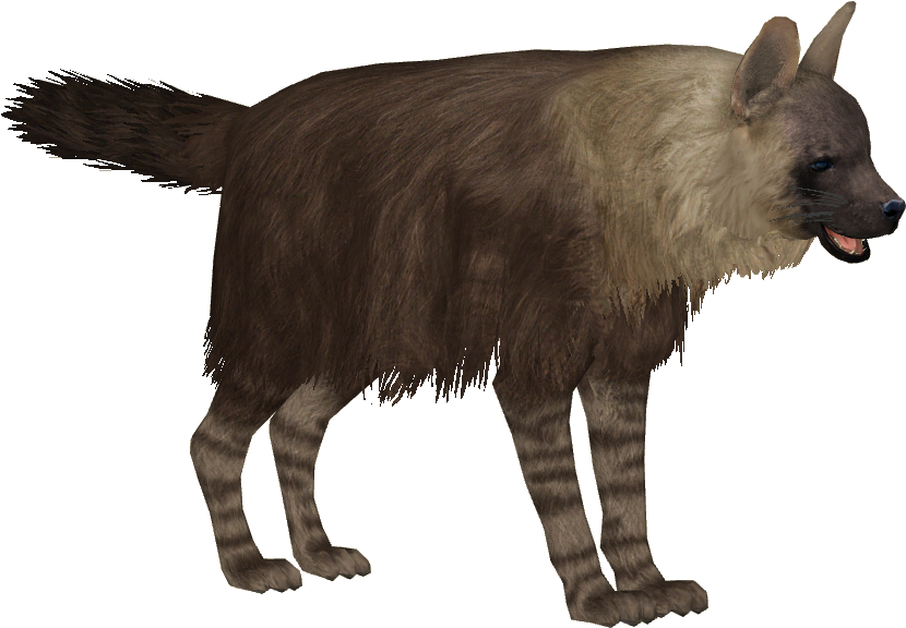 Spotted Hyena Standing Transparent Background