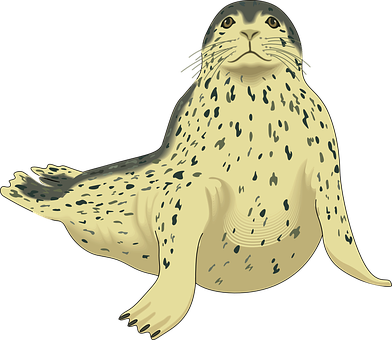 Spotted Seal Illustration