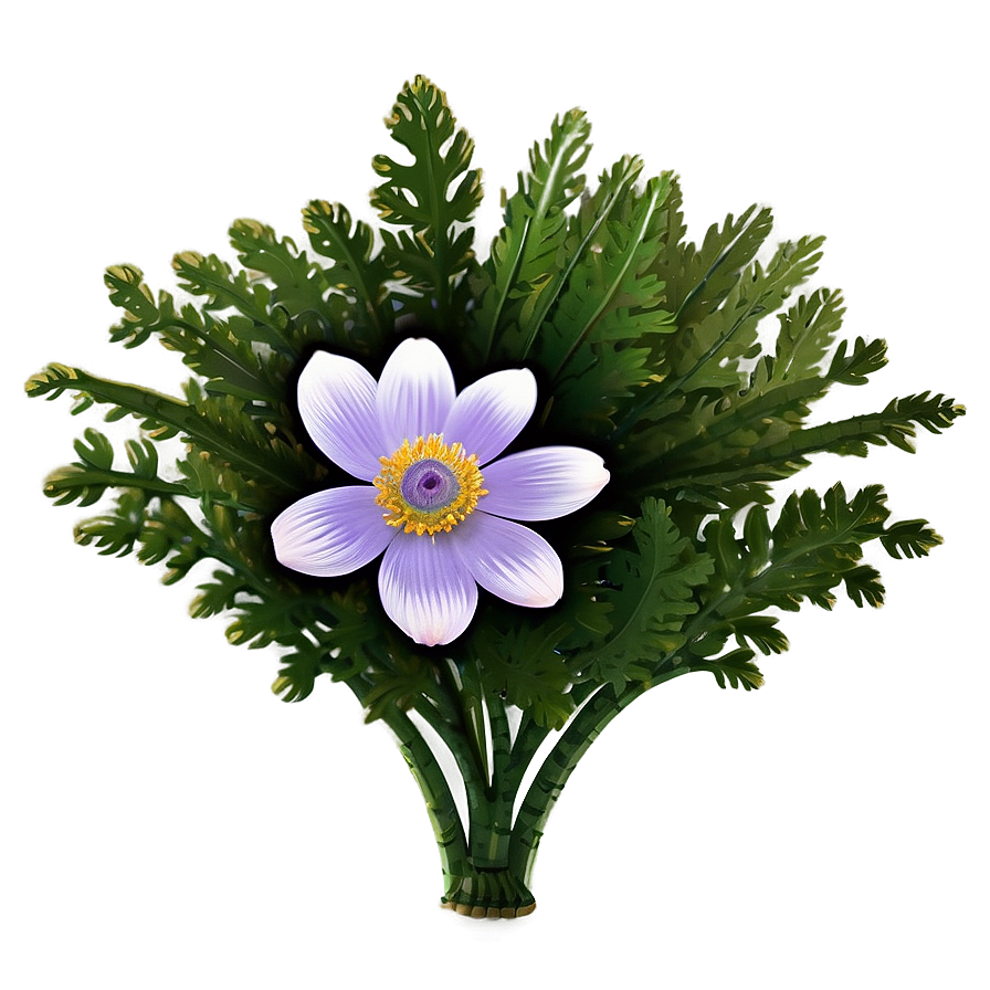 Spring Anemone Bloom Png Qqo