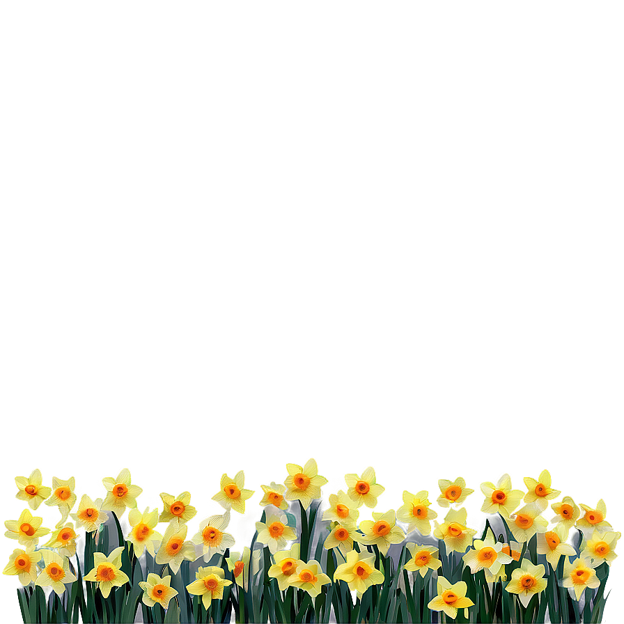 Spring Daffodils Field Png 92