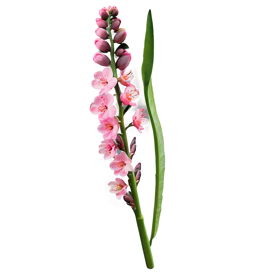 Spring Flower Stem Png Glq8