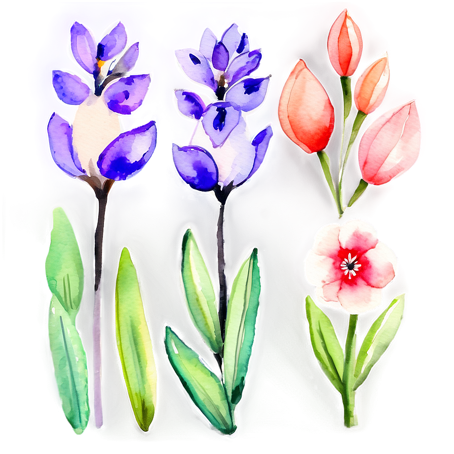 Spring Flowers Watercolor Set Png 32