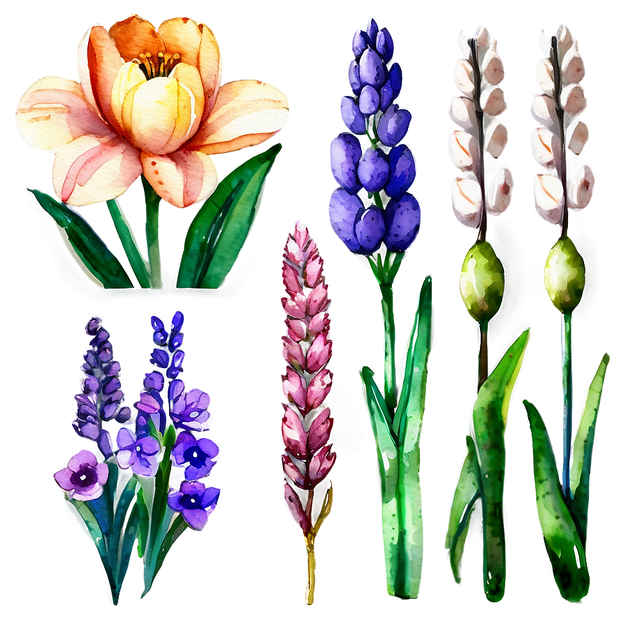 Spring Flowers Watercolor Set Png Fgn72