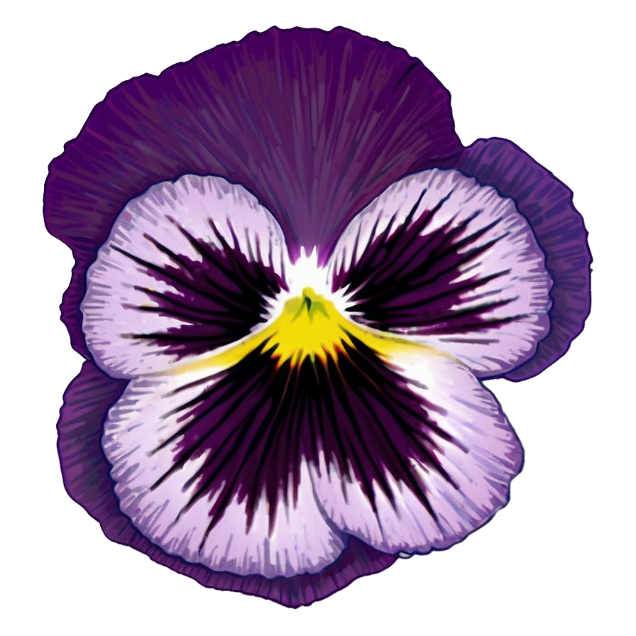 Spring Pansy Png Eub