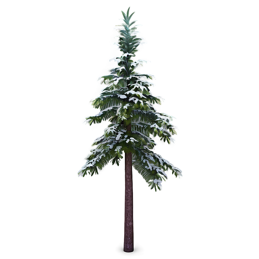 Spruce Tree In Mountainous Terrain Png 69