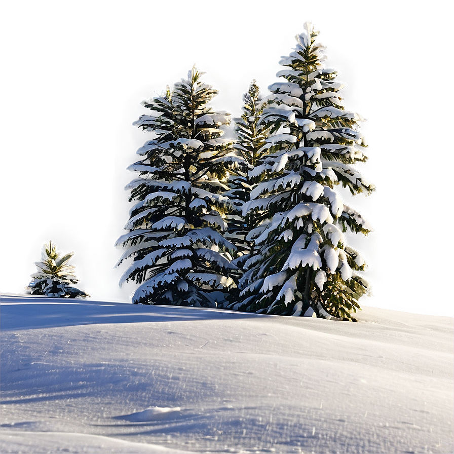 Spruce Tree In Snowy Landscape Png Udq72