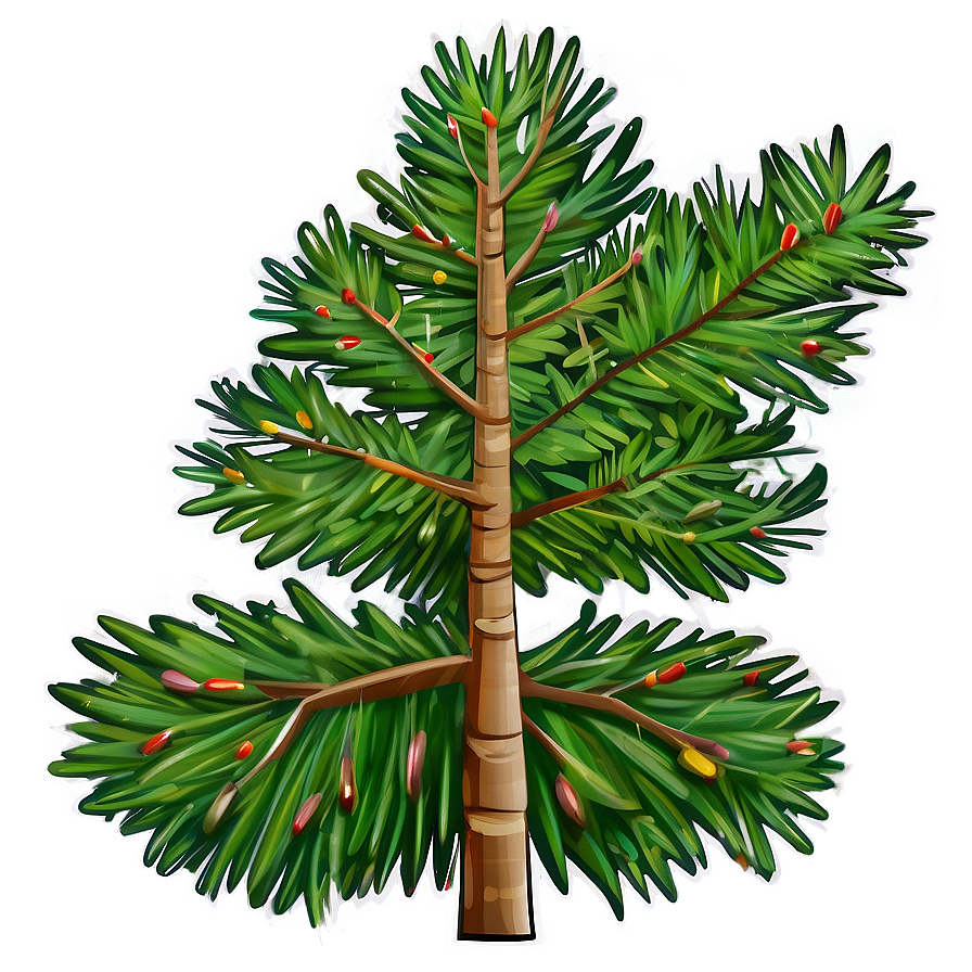 Spruce Tree Line Art Png Tku59