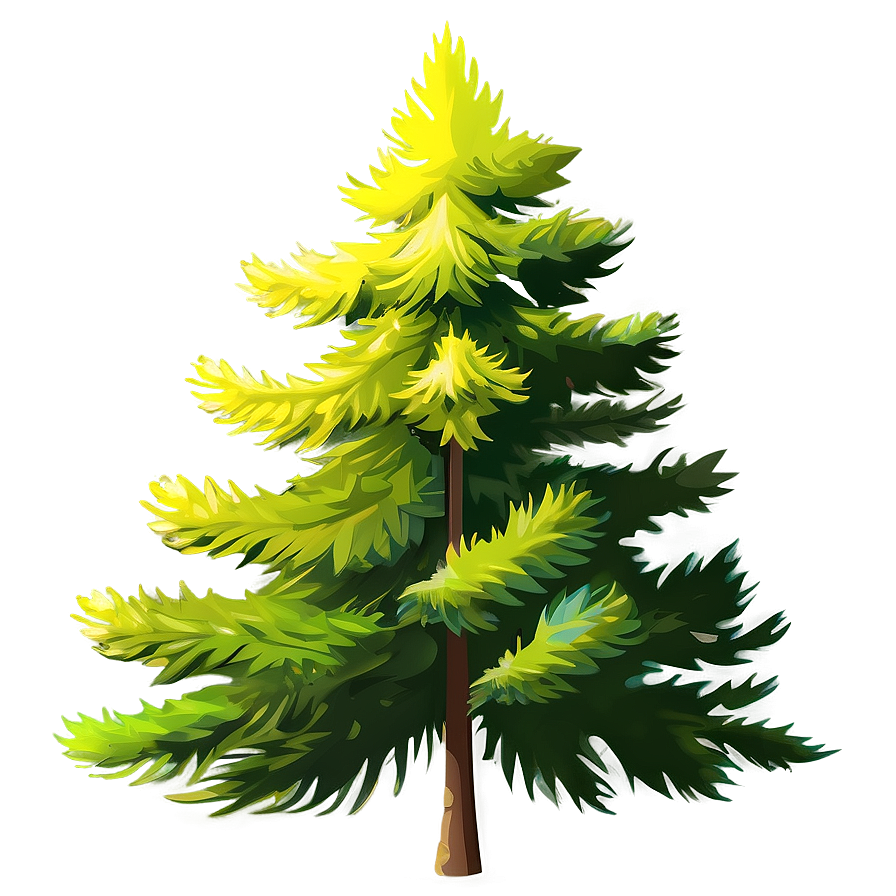 Spruce Tree Silhouette Png 38