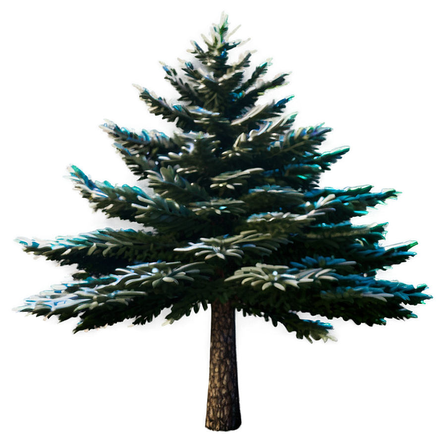 Spruce Tree Under Starry Sky Png 06132024