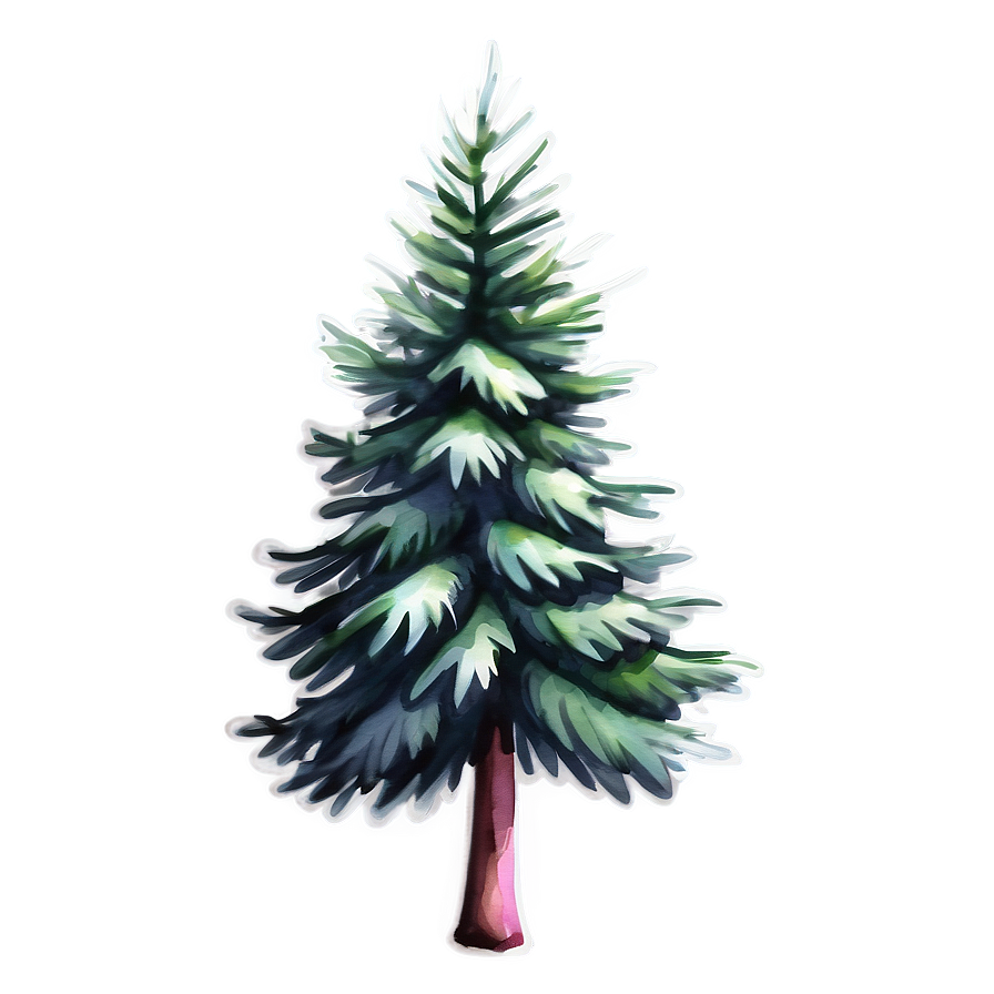 Spruce Tree Watercolor Art Png Maa28