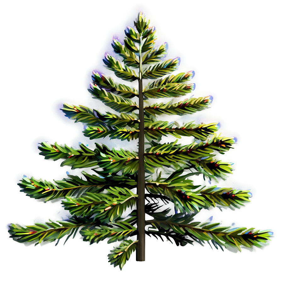 Spruce Tree With Rainbow Png Uxk21