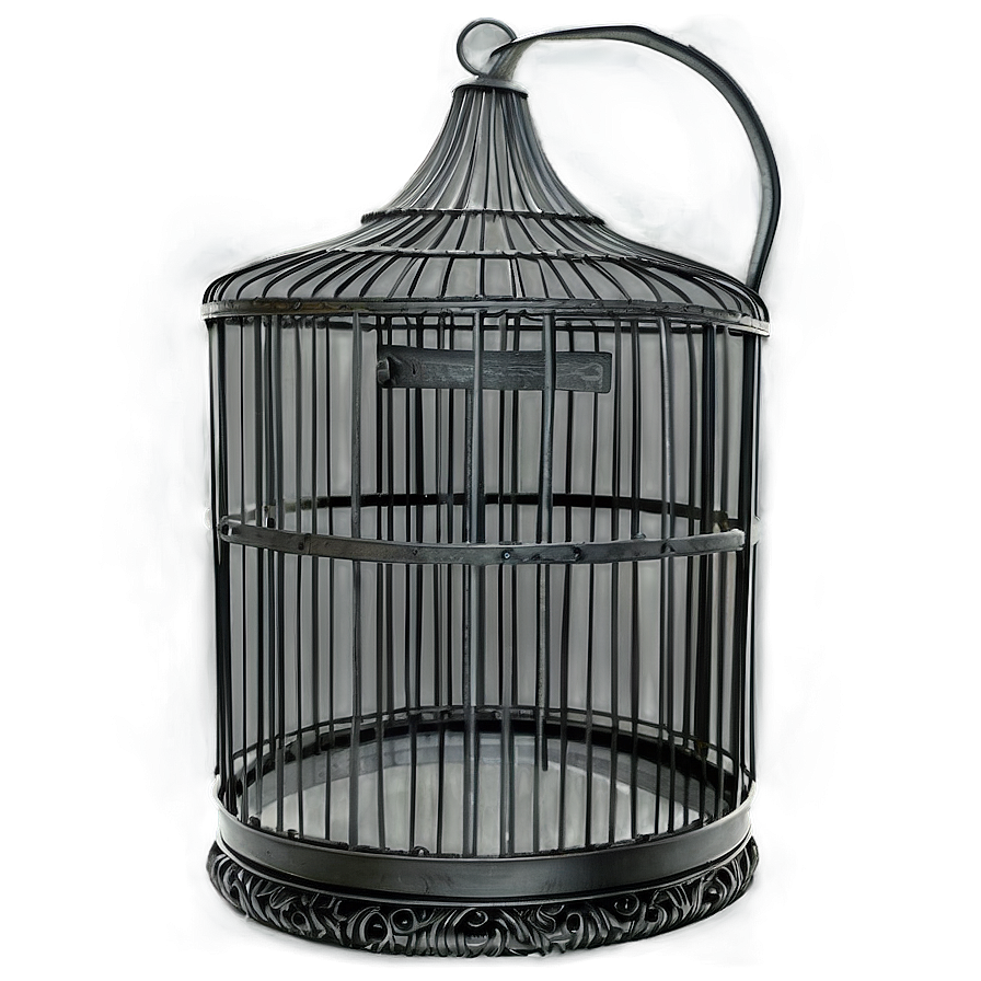 Square Bird Cage Png 06122024