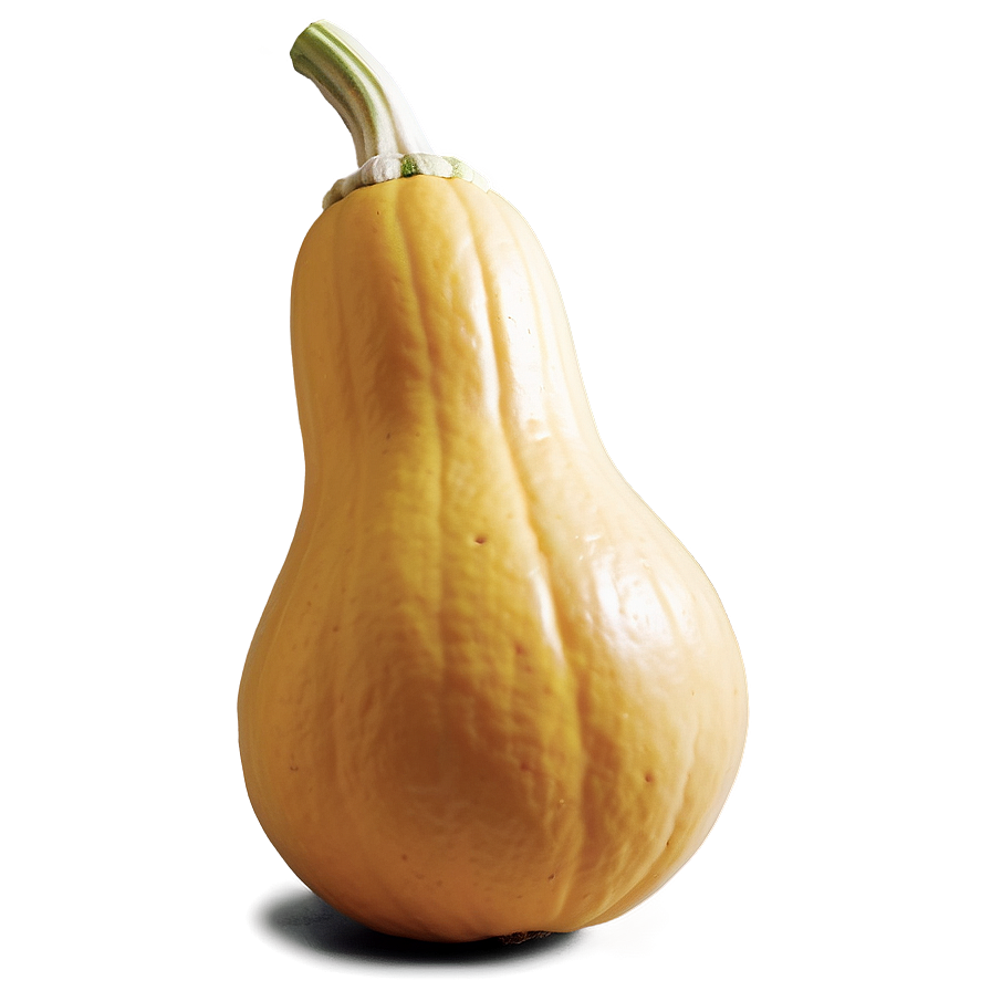 Squash A