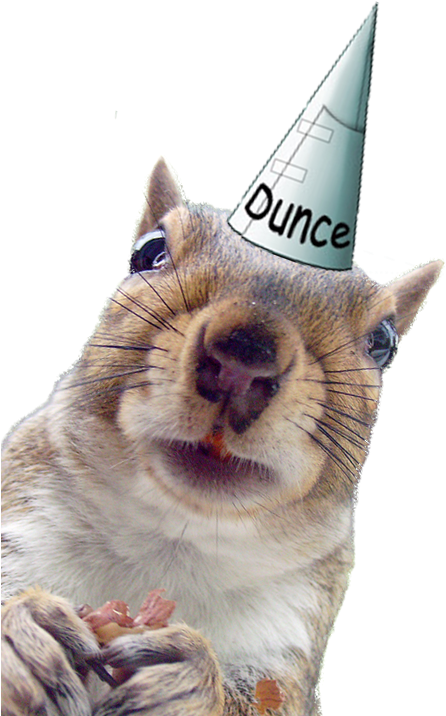 Squirrel Dunce Cap.png