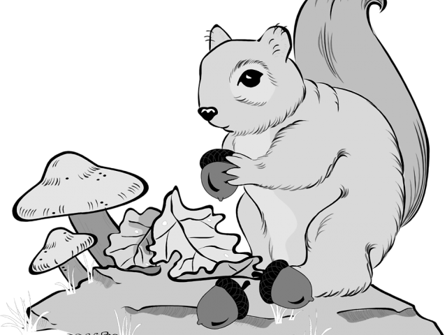 Squirrel_with_ Acorns_and_ Mushrooms