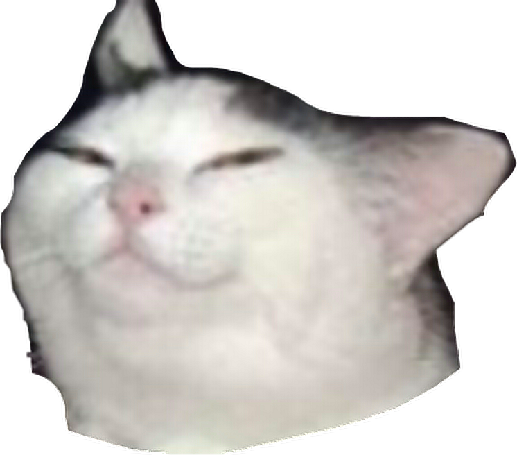 Squished Cat Face Meme.png