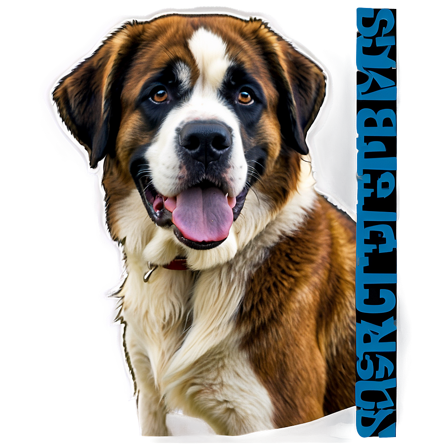 St Bernard Mountain Rescue Dog Png Blq