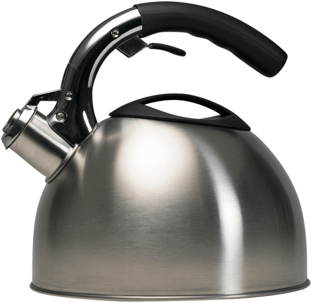 Stainless Steel Stovetop Kettle