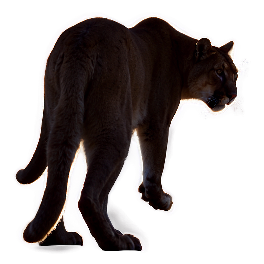 Stalking Cougar Silhouette Png Kvv