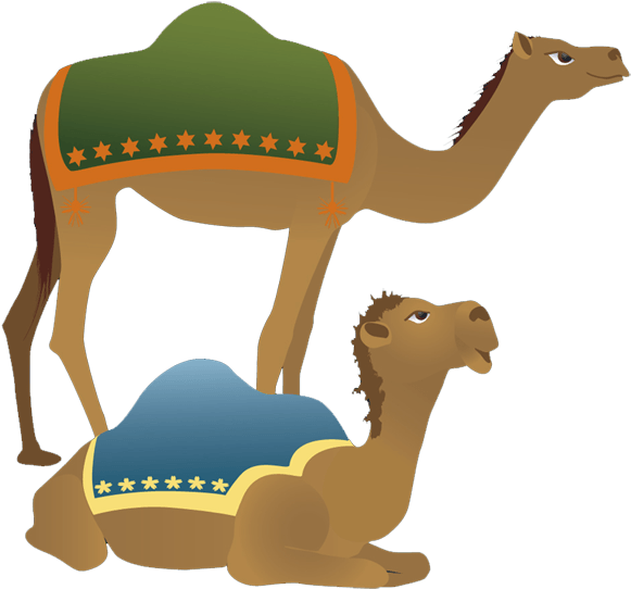 Standingand Sitting Camels Illustration