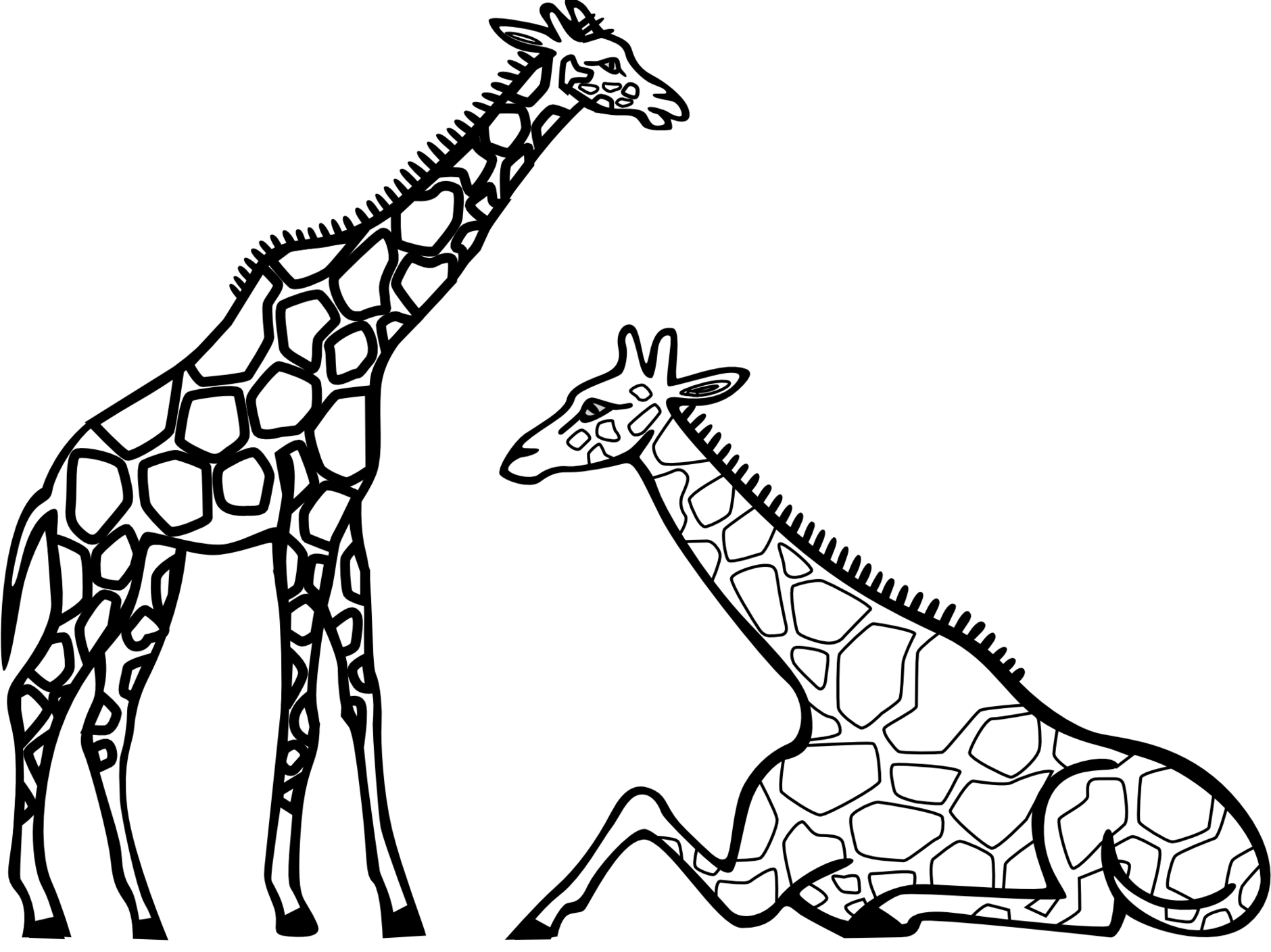 Standingand Sitting Giraffes Line Art