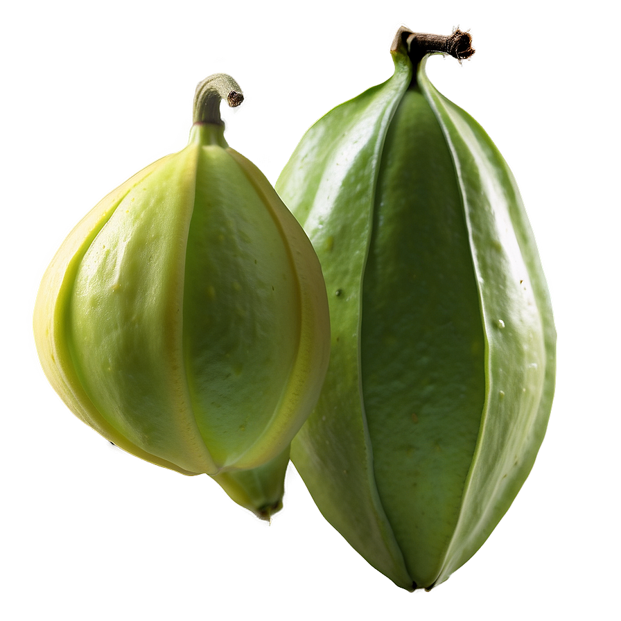 Star Fruit B